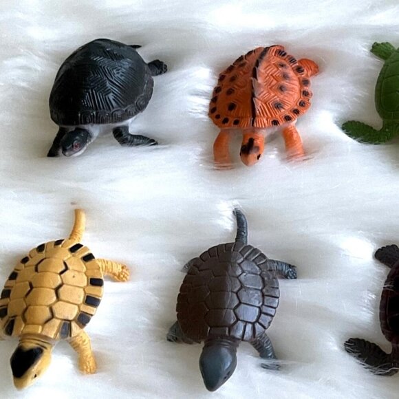 REALISTIC TURTLES FIGURES 10 PCS CRAFTS PARTY TOY DECOR - Picture 8 of 10